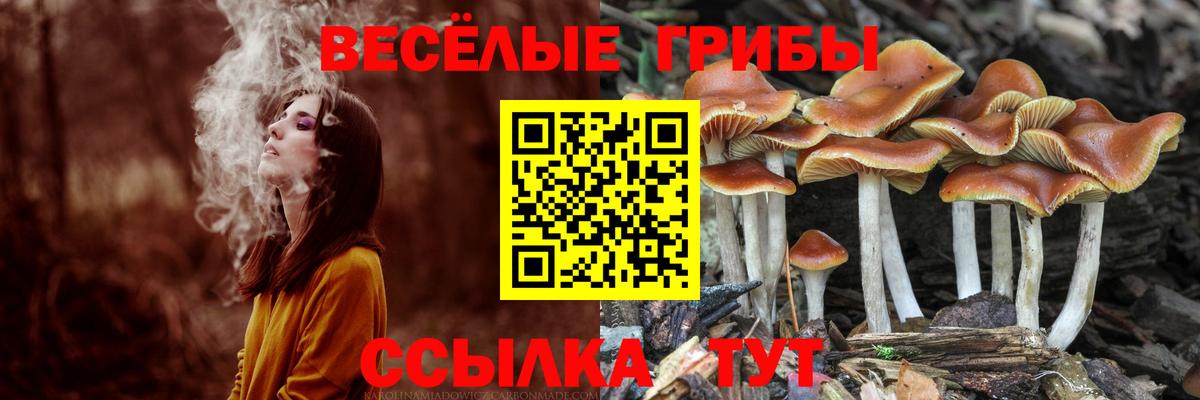 Галлюциногенные грибы Psilocybe  Галлюциногенные грибы мухоморы  Вход с VPN  Ишим 